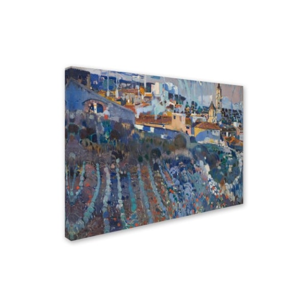 Joaquim Mir 'Terraced Village' Canvas Art,18x24